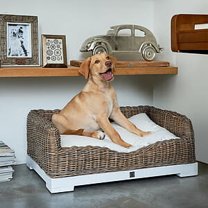 Rivi&egrave;ra Maison - RR Classic Dog Basket L