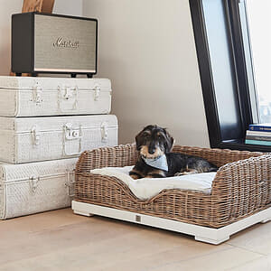 Rivi&egrave;ra Maison - RR Classic Dog Basket L