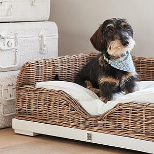 Rivi&egrave;ra Maison - RR Classic Dog Basket L