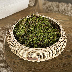 Rustic Rattan Aurea Tray M