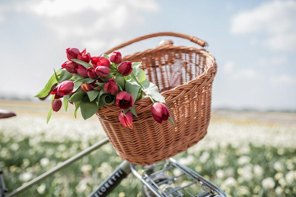 Panier à vélo